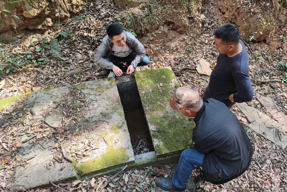 1647867935716436.jpg 2.jpg