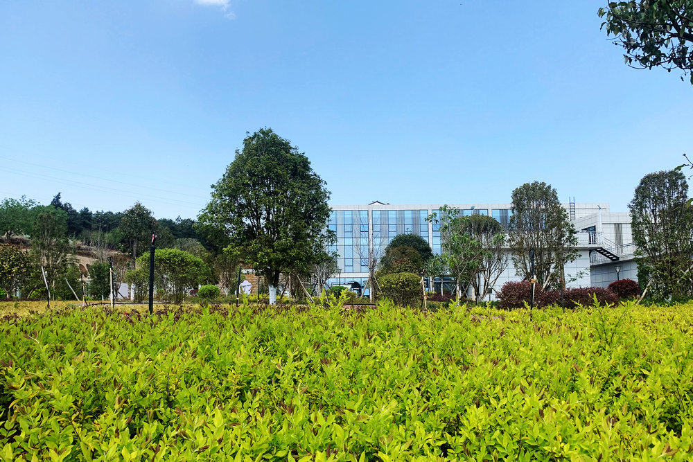 【發(fā)現(xiàn)一線的春景】水廠春來(lái)早1  宣威水務(wù)公司 周磊.jpg