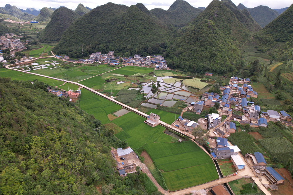 1658817436490175.jpg 101.jpg