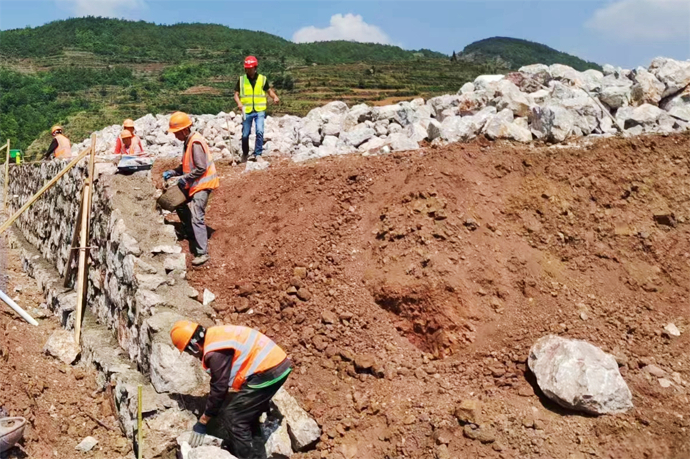 1661410015236674.jpg 104.jpg