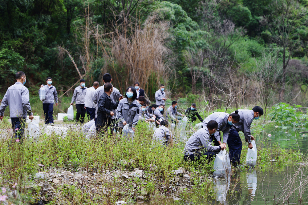 1664502792417537.jpg 102.jpg